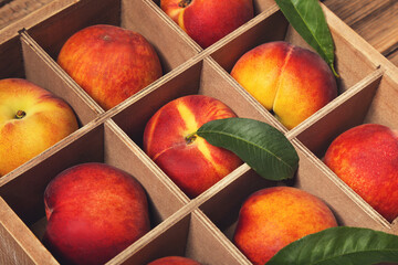 Fresh peaches with green leafs in wooden crate