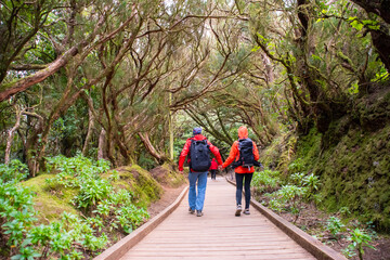 Sporty tourist couple on hiking trail in Anaga Rural Park - ancient rain forest on Tenerife, Canary...