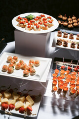 Catering table set service various snacks on a table at banquet. Set of cold snacks, canape, beverages, closeup. Side view. Banquet table