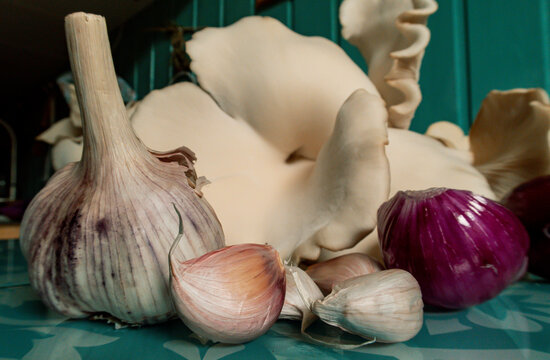 Oyster mushrooms on the kitchen table.Oyster mushrooms mushrooms and red onion and garlic