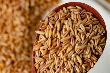 Raw uncooked whole oats grain close up