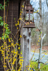 rustic lantern and barn