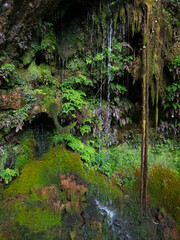 Water flowing down a rocky wall