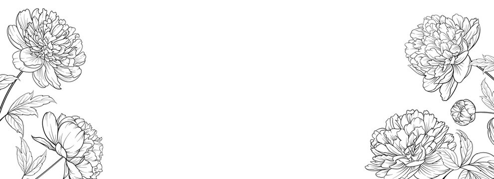 Botanical elements design template. Panoramic simple design with frame flowers. Herbal vector frame