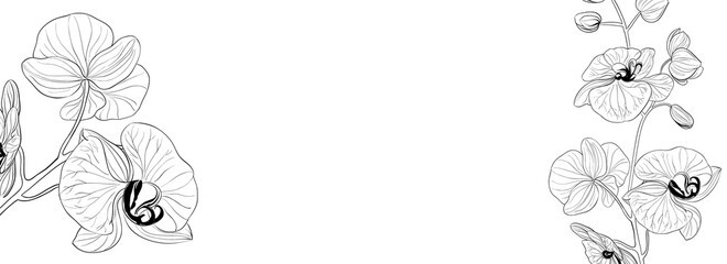 Botanical elements design template. Panoramic simple design with frame flowers. Herbal vector frame © Kotkoa