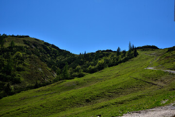 Fototapeta na wymiar Nationalpark Berchtesgaden