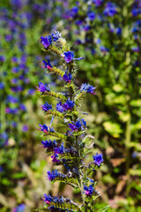 The Moravian Beskydy Mountains are beautiful and very interesting for tourists