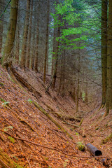 Obraz premium Hohlweg