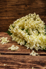 Fragrant bouquet of fresh elder flowers