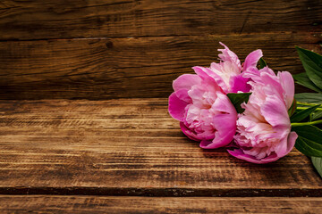 Fragrant pink peonies. Beautiful bouquet on vintage wooden background