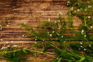 Decorative flowers and greenery, necessary components for creating bouquets