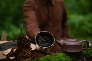 Man holding tea bowl with dry pu-erh near clay teapot on log in forest 