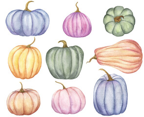 Watercolor Pastel Pumpkins Clipart. Autumn, Fall, Harvest Illustration. Helloween, Thanksgiving Colored Pumpkin Decor.