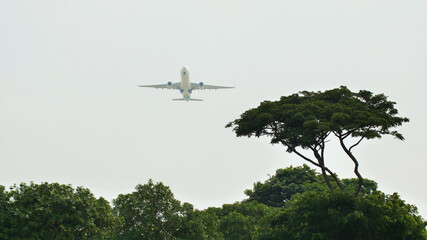 Fototapeta na wymiar Take-off aircraft on the background of trees in the Indonesian village.