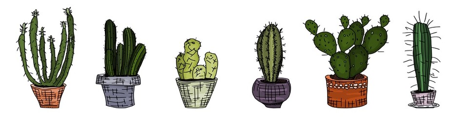a selection of cactus drawings in a clay pot