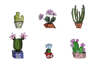six cacti on a white background. doodle vector