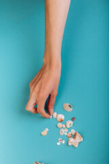 A girl's hand takes a tiny small shell.