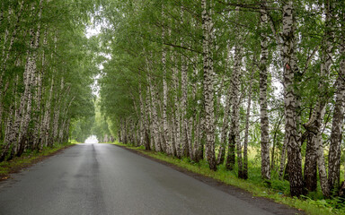 Naklejka premium The road from Ufa to Chelyabinsk