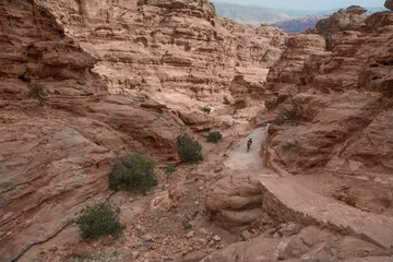 Red Rock Desert valley landscape Bedouin habitat and donkey