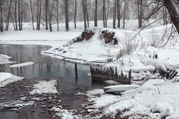 winter stream among trees and rocks