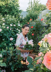  female picking flowers and smiling. adult brunette woman cuts roses in the morning garden. rustic lifestyle concept, free space