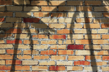 Shadows from palm trees on the brick wall. The concept of summer, beaches are closed during a pandemic.