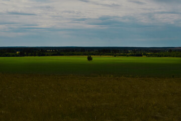 man walking in the field