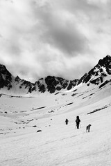 Trekkers with dog on snowy plateau in mountains and cloudy storm sky