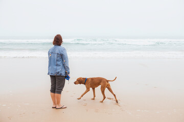 Young woman is alone walking with the crazy dog on the ocean coast of Atlantic ocean