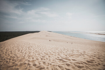 Fototapeta na wymiar amazing view from the top of Dune de Pilat of the deep forest and ocean, Bay of Biscay