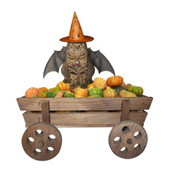 The beige cat with bat wings is wearing a witch hat and a skull shaped pendant with ruby eyes. He...