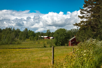 Rural summer day in Sweden with wide meadows and red wooden houses
