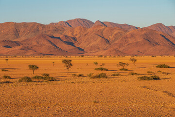 Fototapeta na wymiar scenic desert landscape
