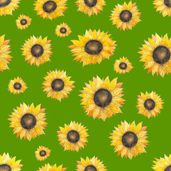 Watercolor seamless pattern with sunflowers. Hand drawn, natural yellow-orange flowers. Summer pattern on green background