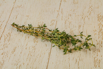 Aroma Fresh green thyme branch