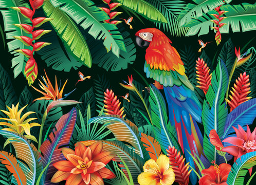Tropical background from flowers and parrot