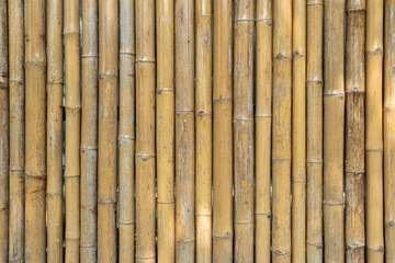 Fototapeta premium Bamboo wall or Bamboo fence texture background