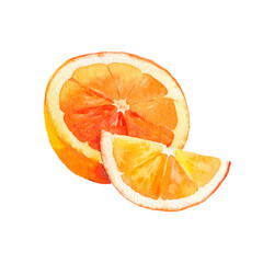 Vector watercolour orange fruit illustration. Hand drawn orange. Fresh orange fruit. Bright and fresh illustration. Watercolor botanical painting.