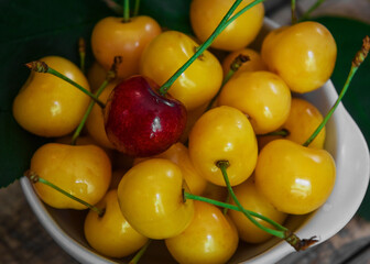 One red cherry on a yellow cherry.  Fresh ripe sweet cherries in a white plate on a wooden background. Close-up