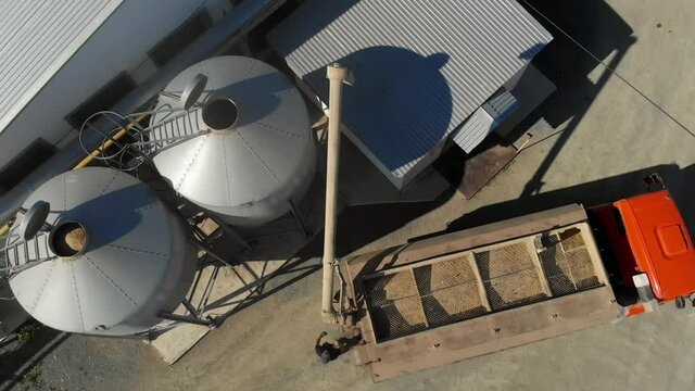 Car reloader with a trailer filled with grain, for transportation to the warehouse. Grain handling in silos using specialized equipment. Automatic feeding system