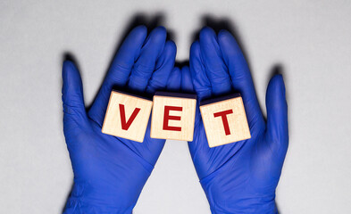 vet word on wooden cubes and hands in blue medical gloves on a gray background
