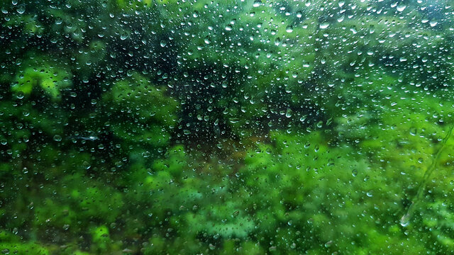 Rain droplets on glass outside is the green forest, monsoon background theme.