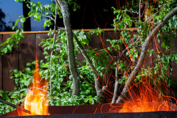the flame of a fire from a campfire in nature. sparks in the night. tongue of flame. a beautiful...