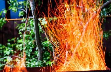 the flame of a fire from a campfire in nature. sparks in the night. tongue of flame. a beautiful...