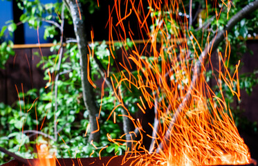 the flame of a fire from a campfire in nature. sparks in the night. tongue of flame. a beautiful...
