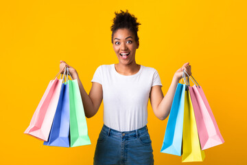 Portrait of cheerful black woman holding shopping bags