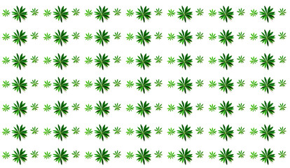 Pattern from green leaves on white background. Minimal Summer concept. Creative copy space for design.