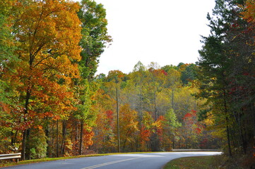 Obraz premium Fall colors line a highway curve on an afternoon drive in the mountains