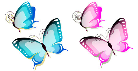 butterfly672