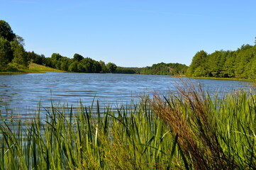 Jezioro przy błękitnym bezchmurnym niebie